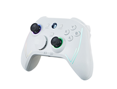 HD-081 white